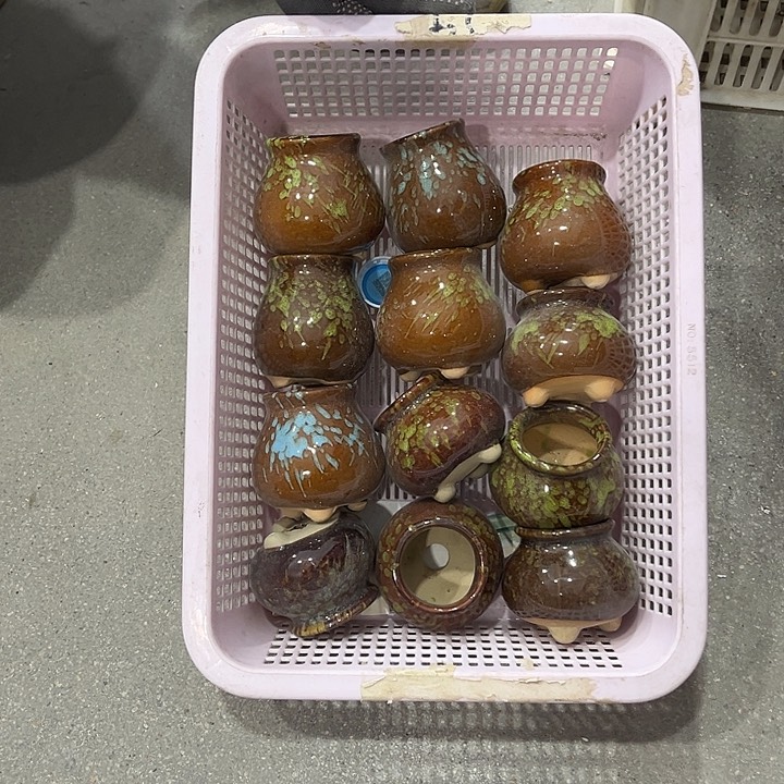 红陶正品数量有限