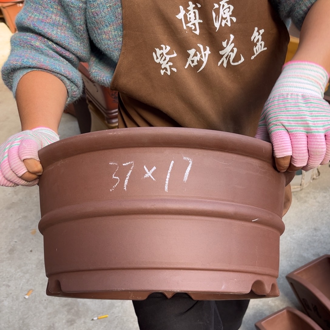 花盆紫砂盆景艺术