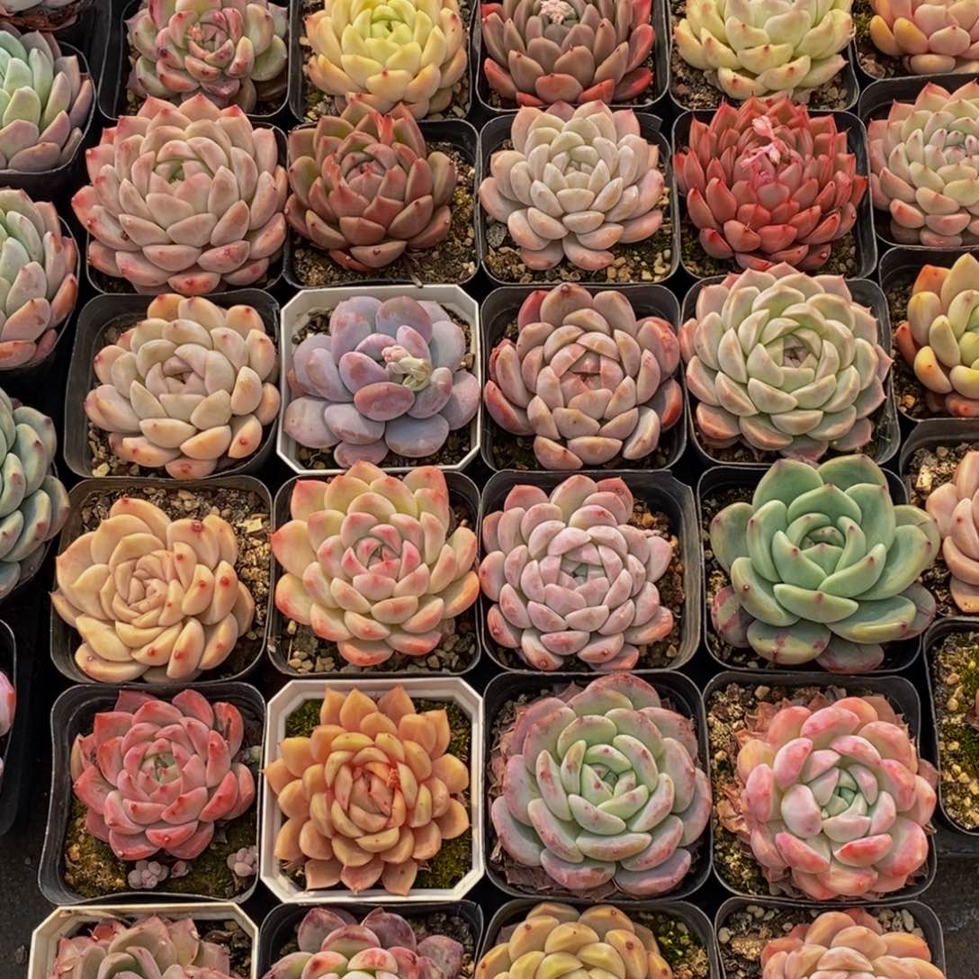 740的人和事都是