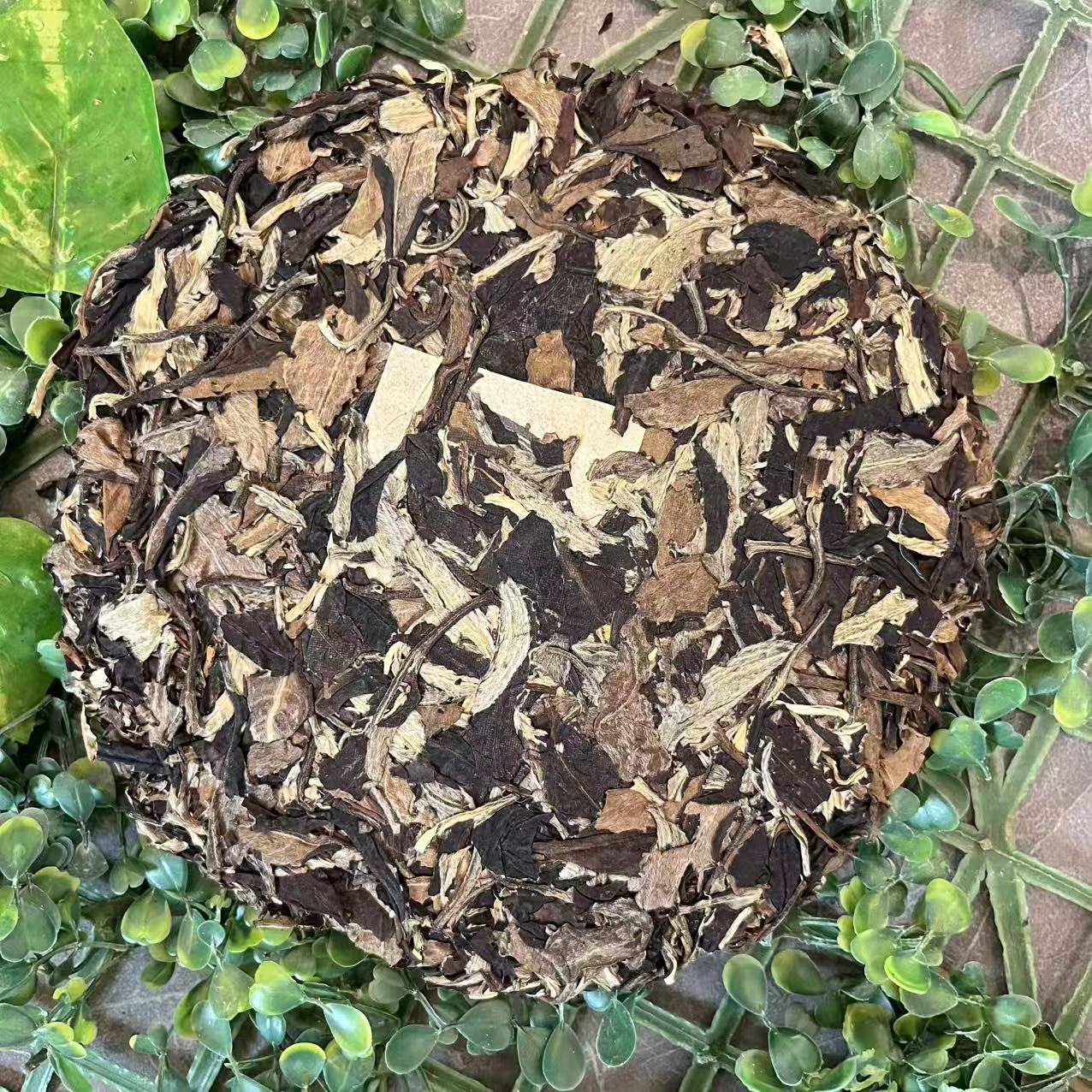 雨腾古茶 X香媛Y“ 全X失 ”绿X芽M树特J白M丹300g/饼 （12月28）