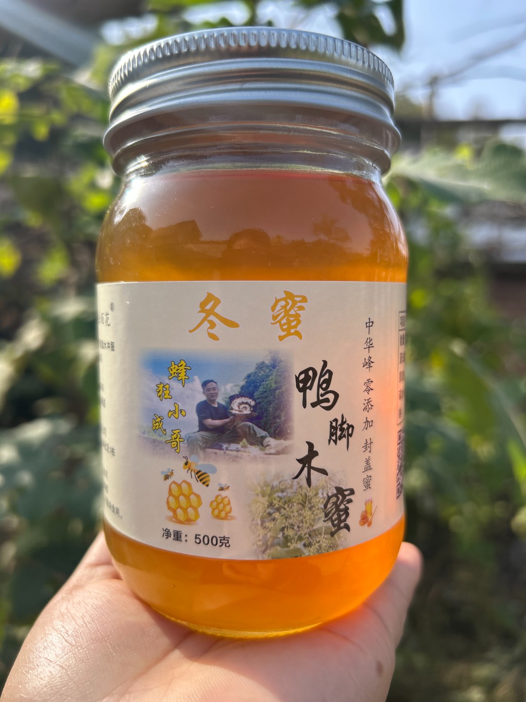 小成哥鸭脚木蜜土蜂蜜