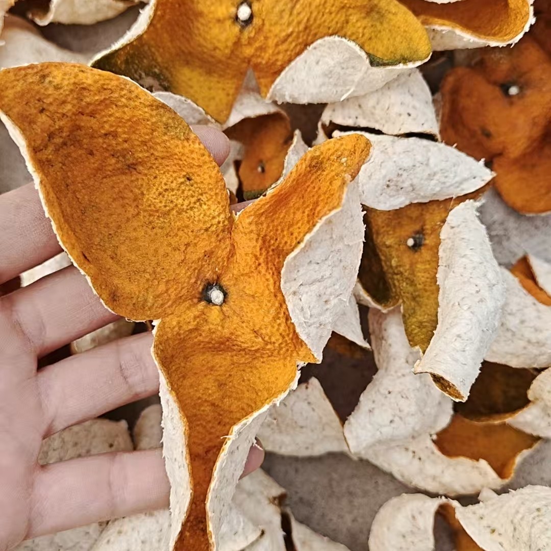 新会三江25年圈枝大红皮