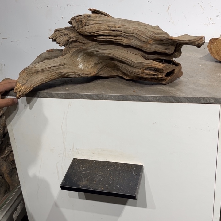 用***0柏木崖啊啊啊啊啊啊啊啊