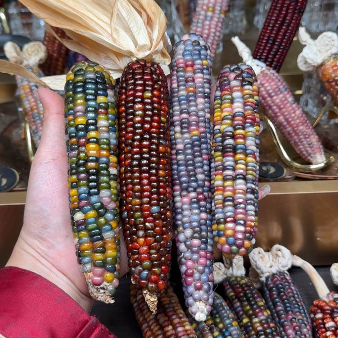 柏香籽/百香籽吊坠汀**杯