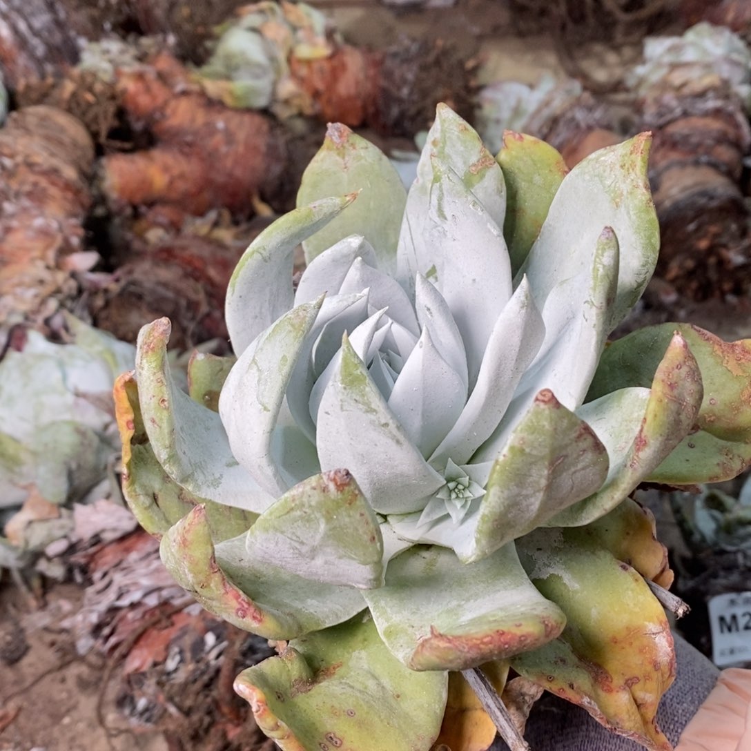 2034哈哈哈哈哈哈哈哈哈哈哈哈