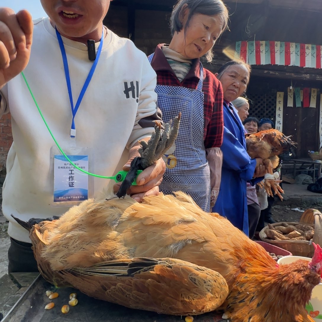 包装中国大陆2677…