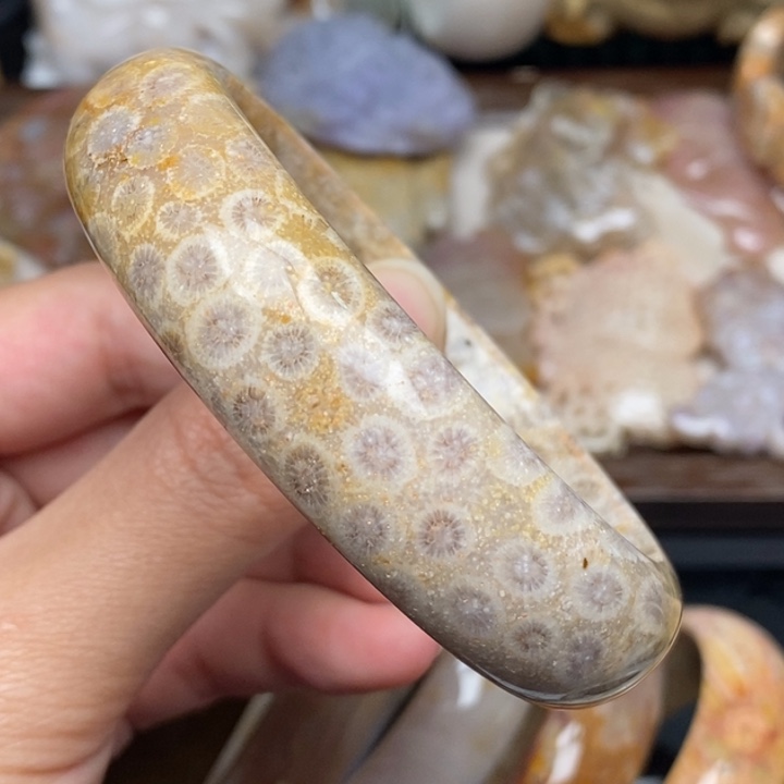 硅化珊瑚（珊瑚玉）手镯未镶嵌59.5