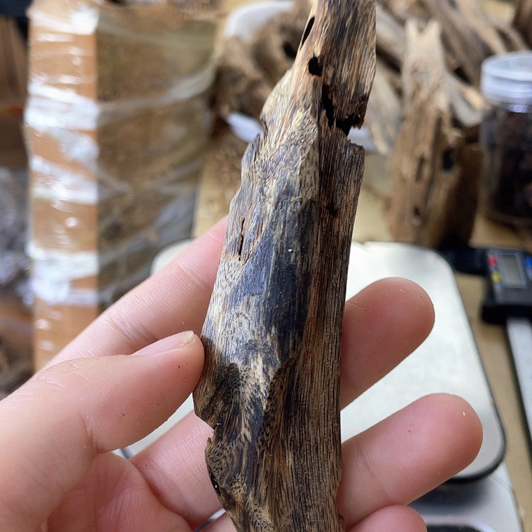 木绿奇楠原材料虫漏13克