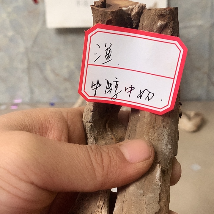 渔***大叶紫檀（黑酸枝木类）