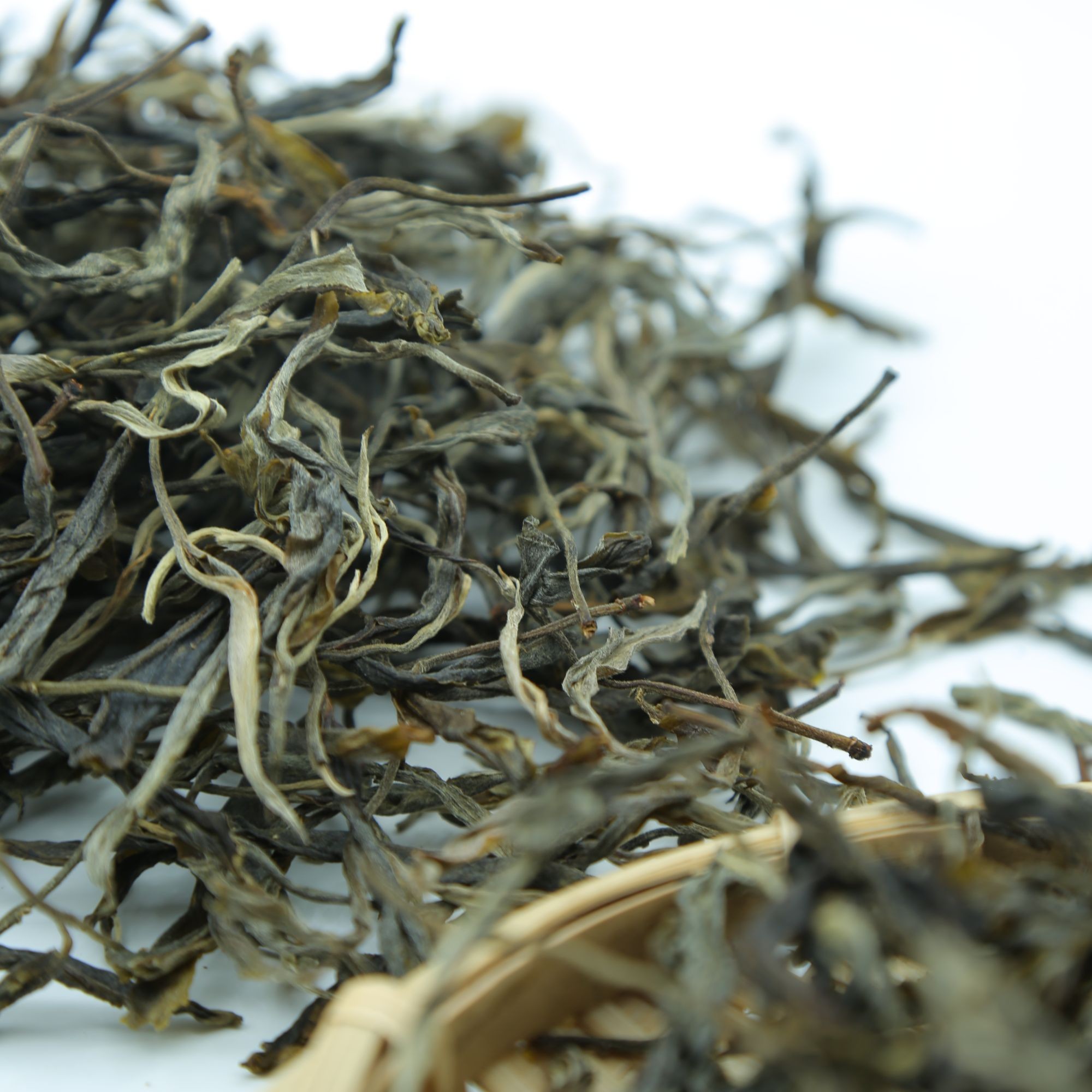2014年昔归单株古树普洱生茶散茶100g