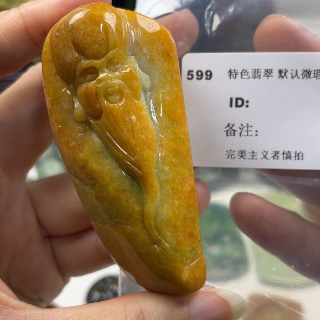 翡翠未镶嵌颈饰牌子