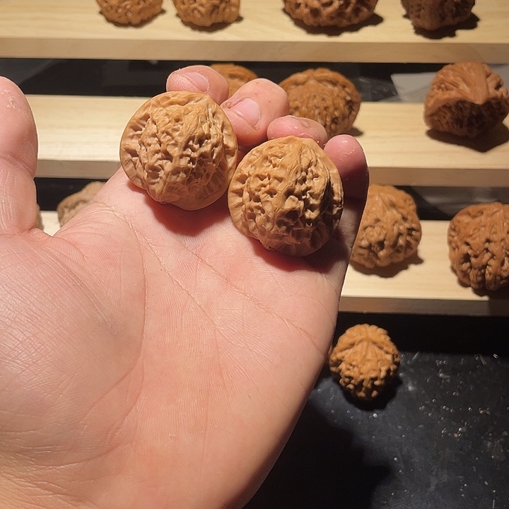 瓷娃娃全品维修三六尺