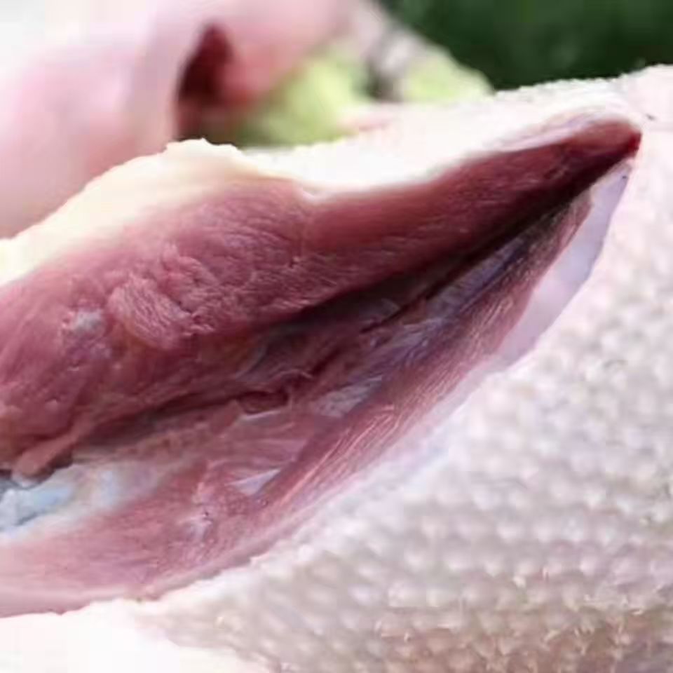 【顺丰/京东包邮】散养大雁鹅单只净重4.5-5斤带掌、带翅、带心肝