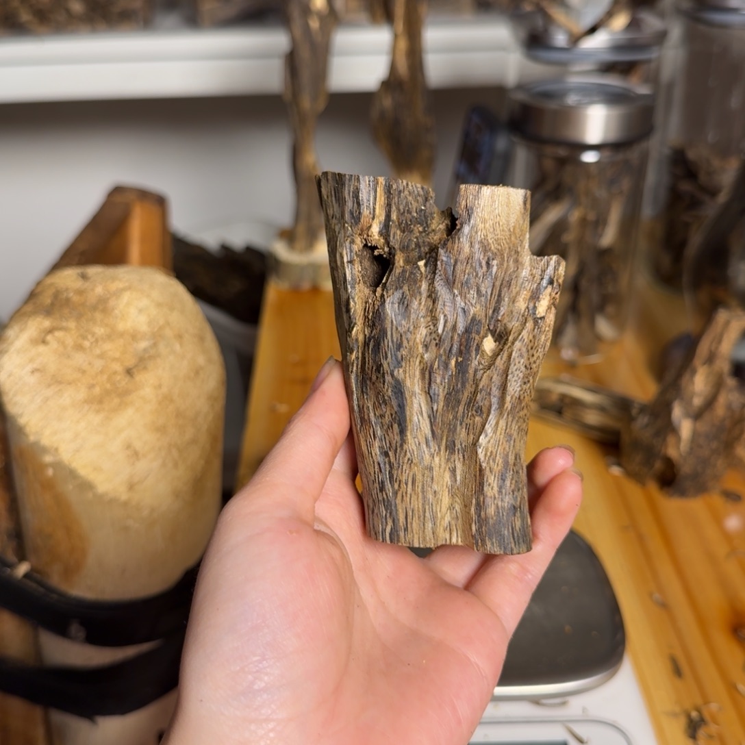 沉香白奇虫漏香65克