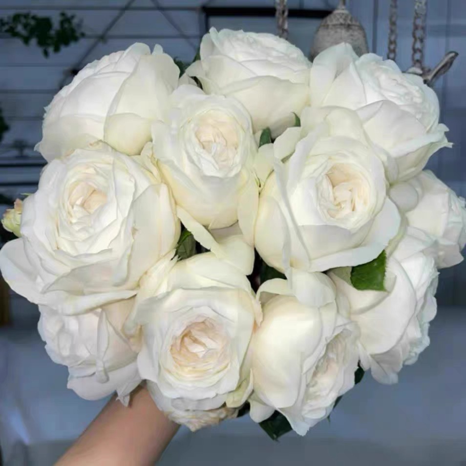 婚礼之路云南玫瑰花苗大花浓香四季开花月季老根花卉绿植盆栽植物