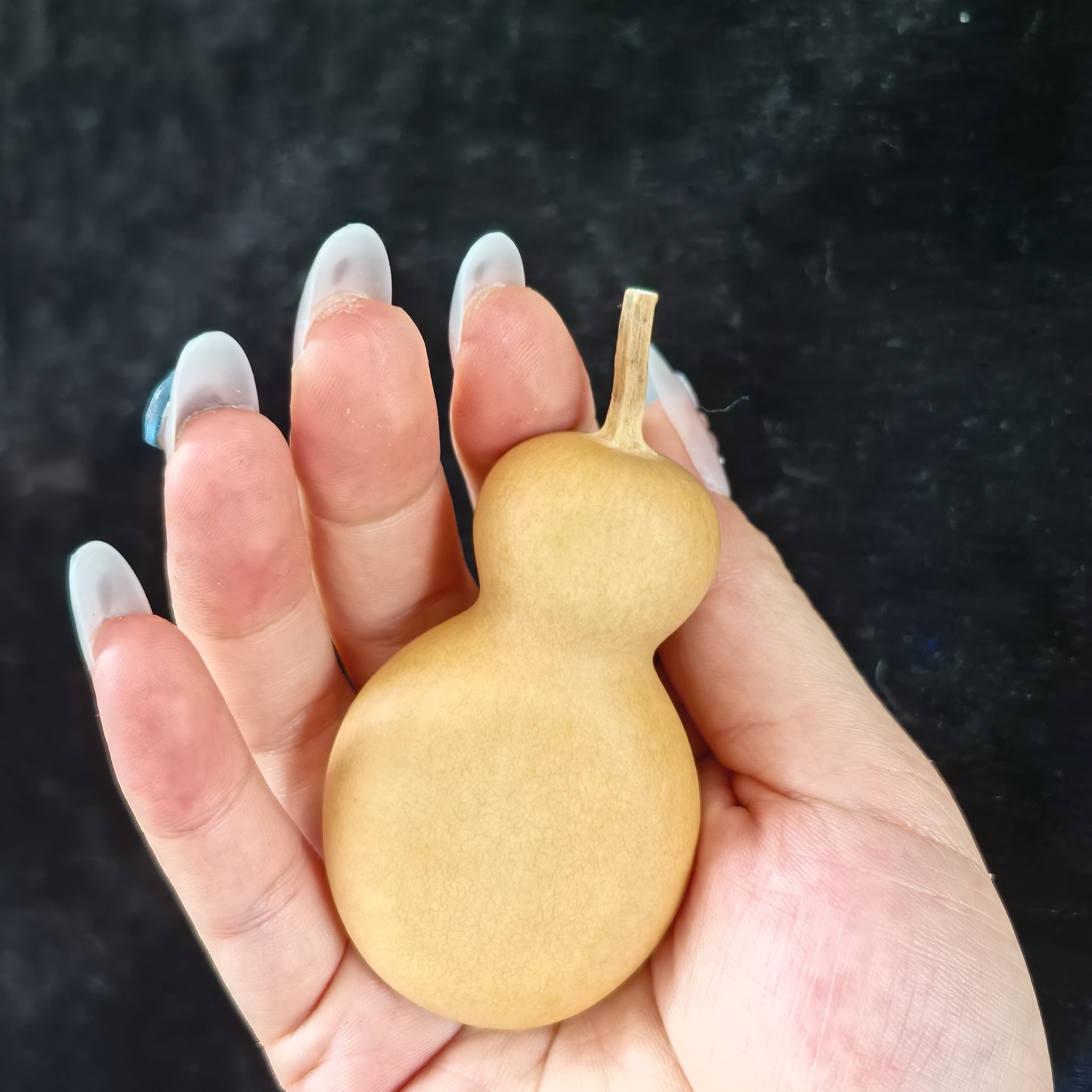 瓶子夹厚皮全品无暇