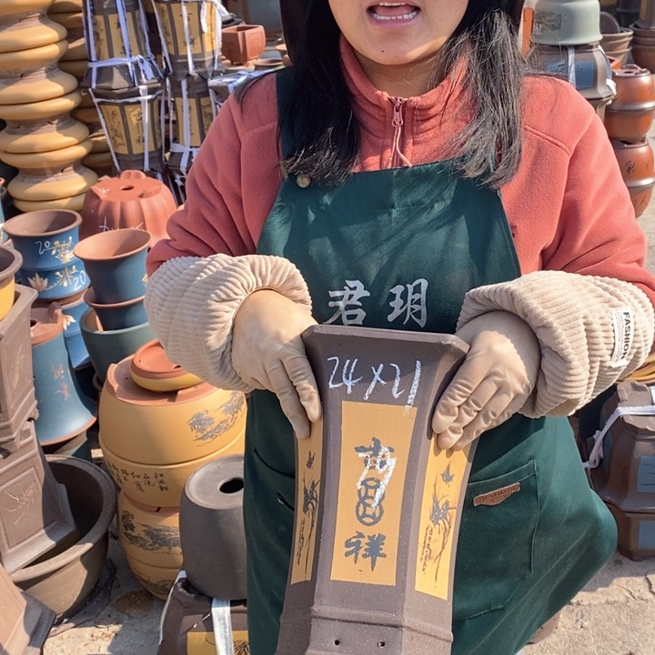 紫砂花盆盆栽花卉苗木种植