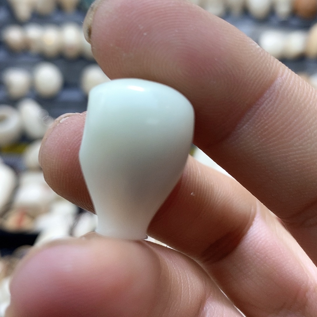 成***️吊坠菩提根/象牙果