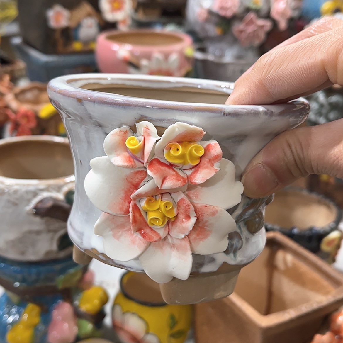 【闪购商品】红陶福利