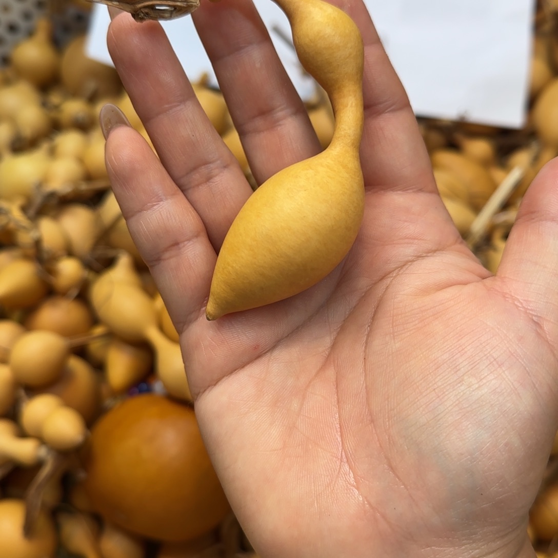 华***居葫芦无售后默认微瑕