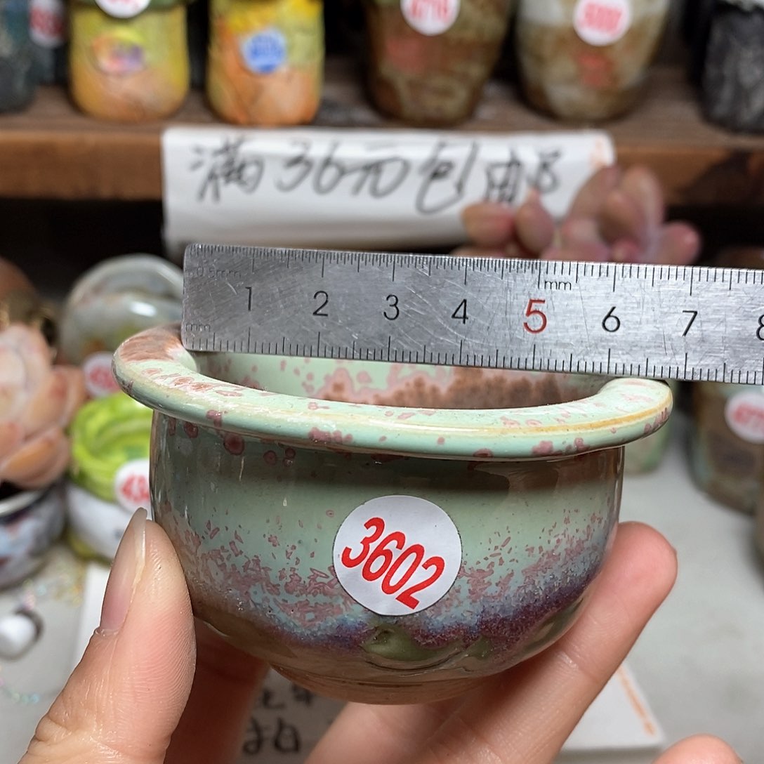 红陶拍5送一个小