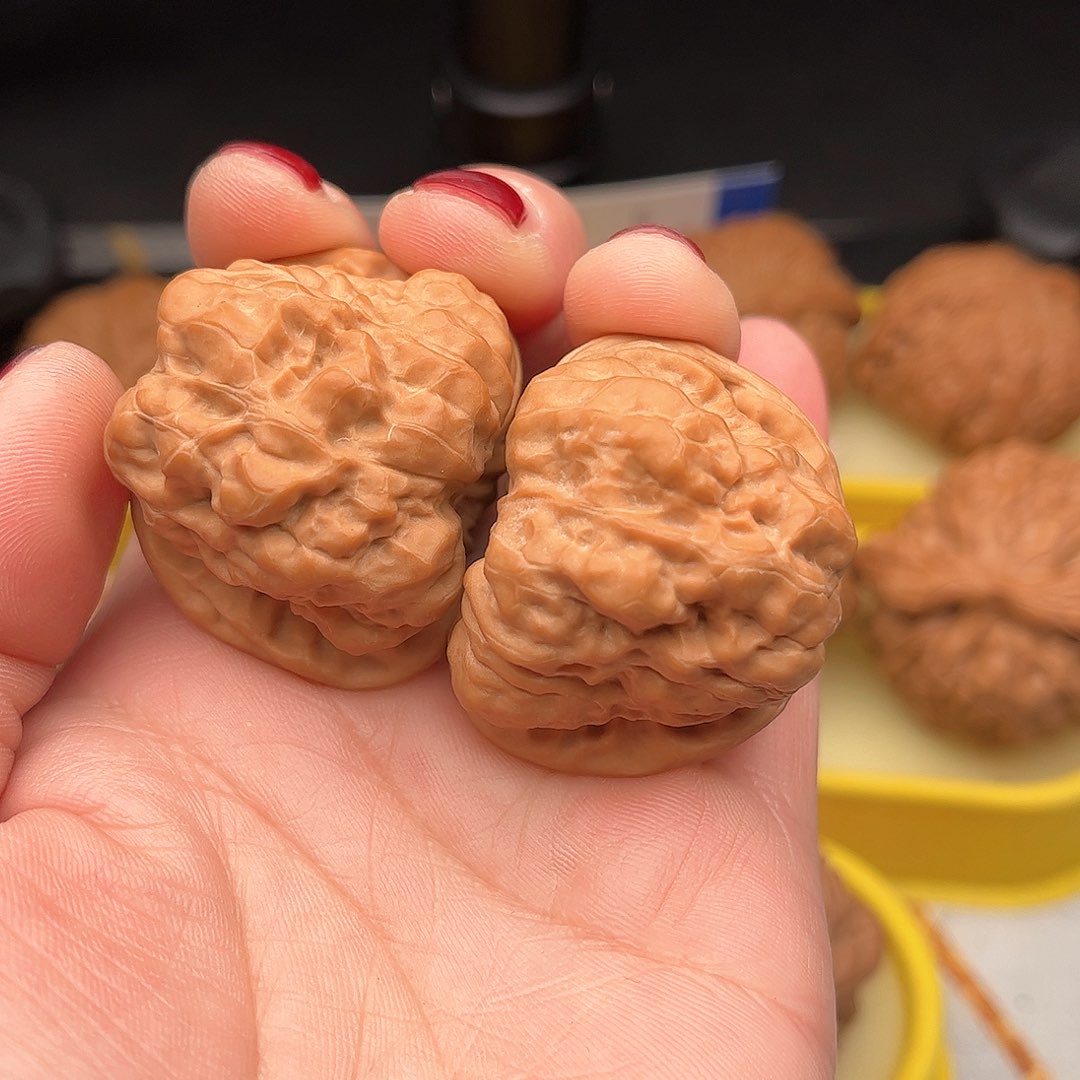 文玩核桃把件蛙全品39