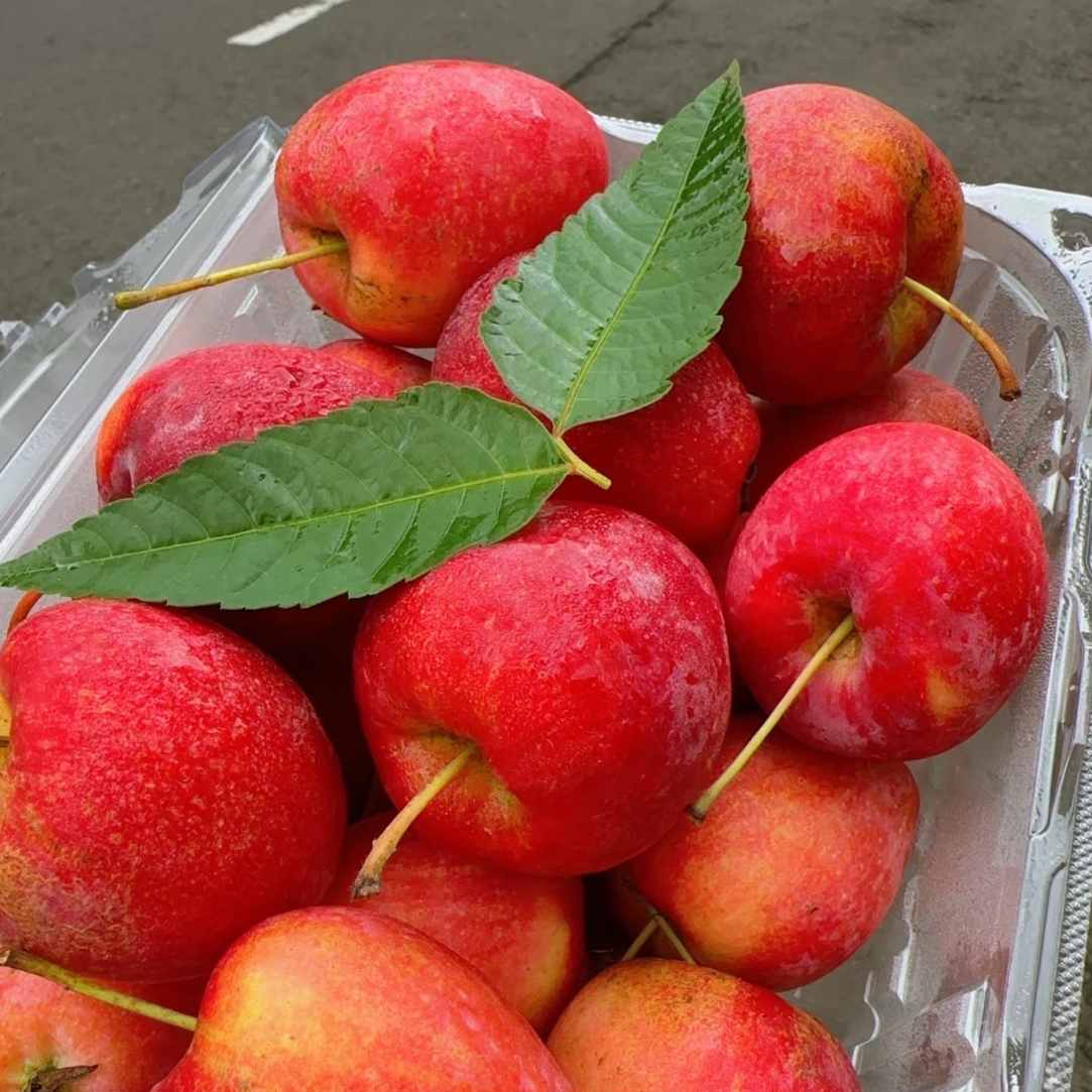 鸡心果水果脆甜多汁富含维生素C小时候的味道