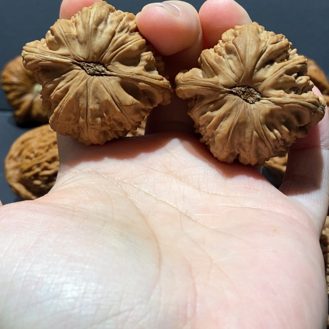 桃核吊坠123456白狮子