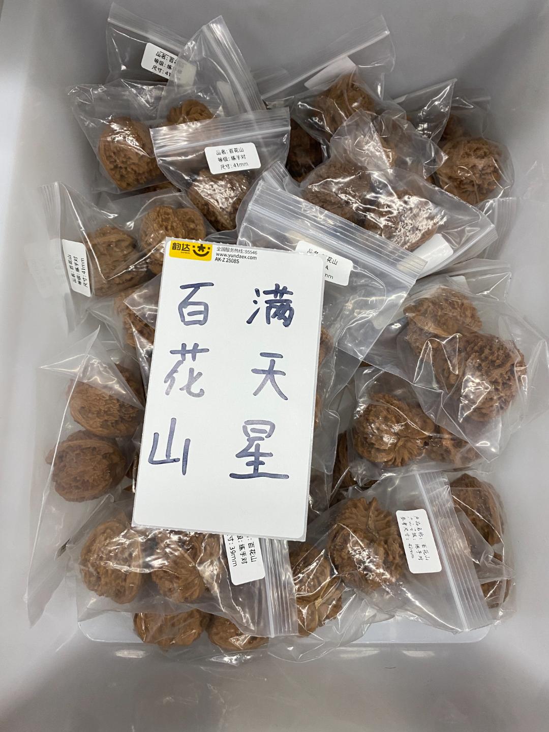 百花山狮子头无修#42