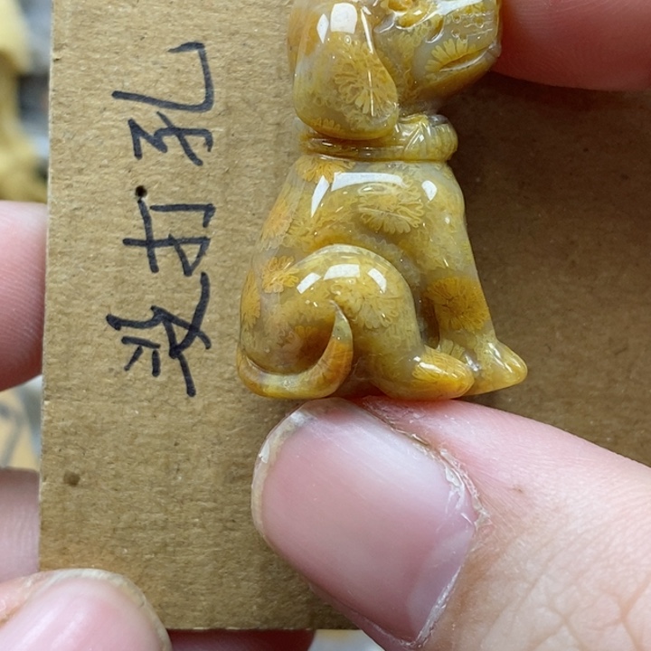 颈饰未镶嵌硅化珊瑚（珊瑚玉）