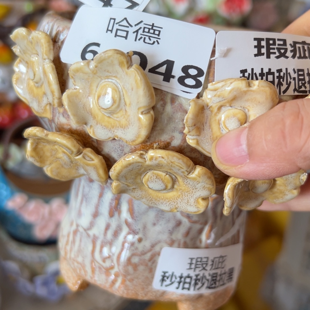 瑕疵648 花盆，满20发货，爱退款拉黑