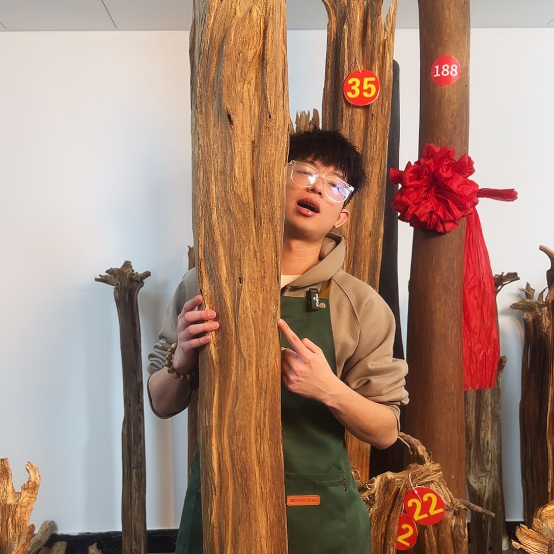 沉香摆件天然沉香原木摆件➕底座