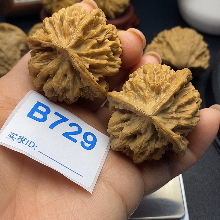 把件文玩核桃帝王4.7