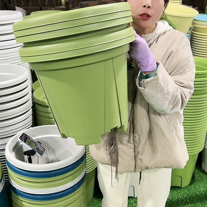 清仓青山口40高34果绿5只无托