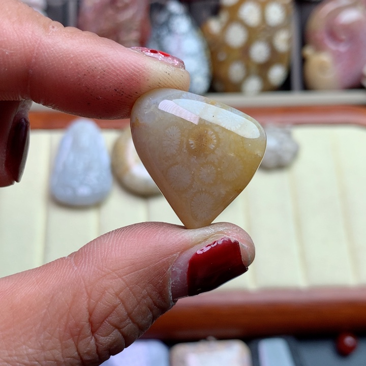 硅化珊瑚（珊瑚玉）颈饰未镶嵌