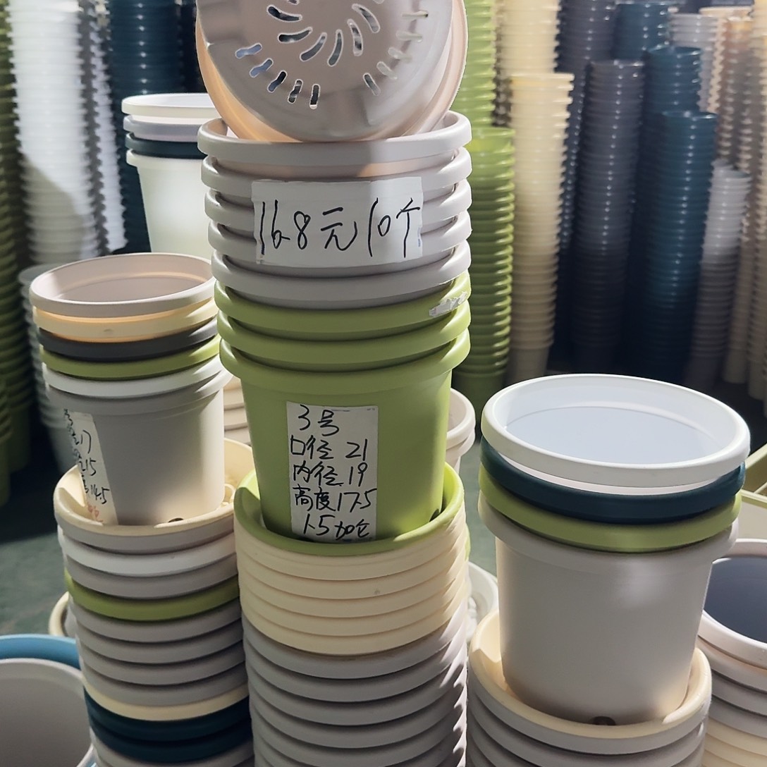 微瑕果绿色3号无拖10个
