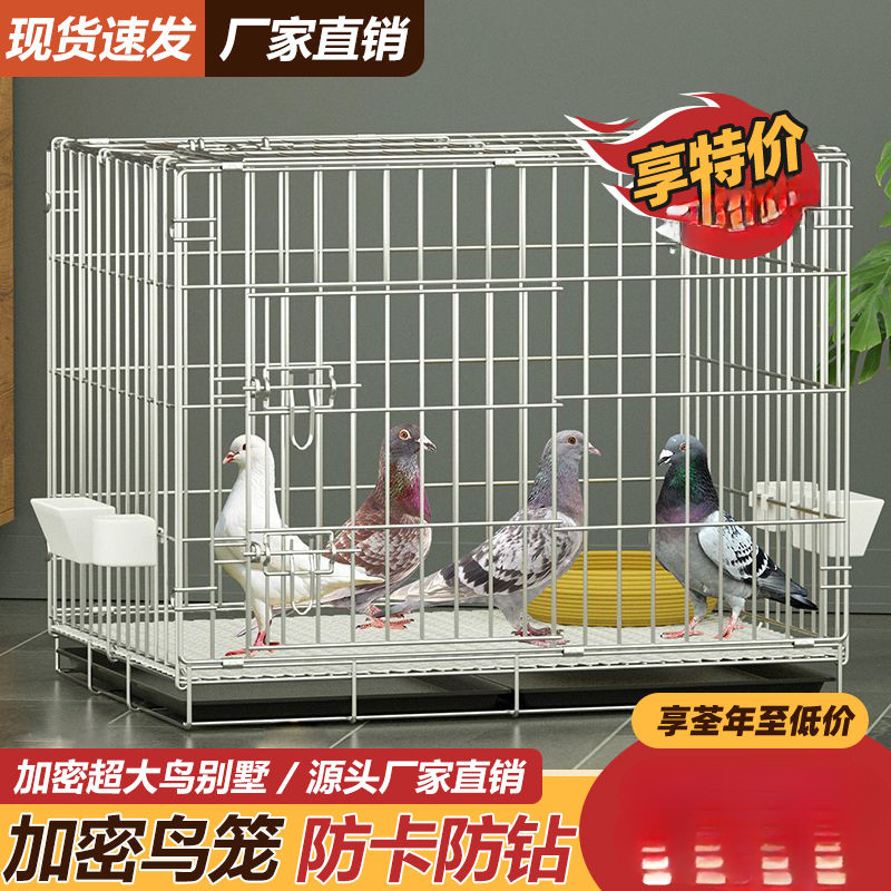 鸽子笼养殖笼繁殖笼肉鸽笼观赏鸽笼大鸽笼鸽子鸟笼