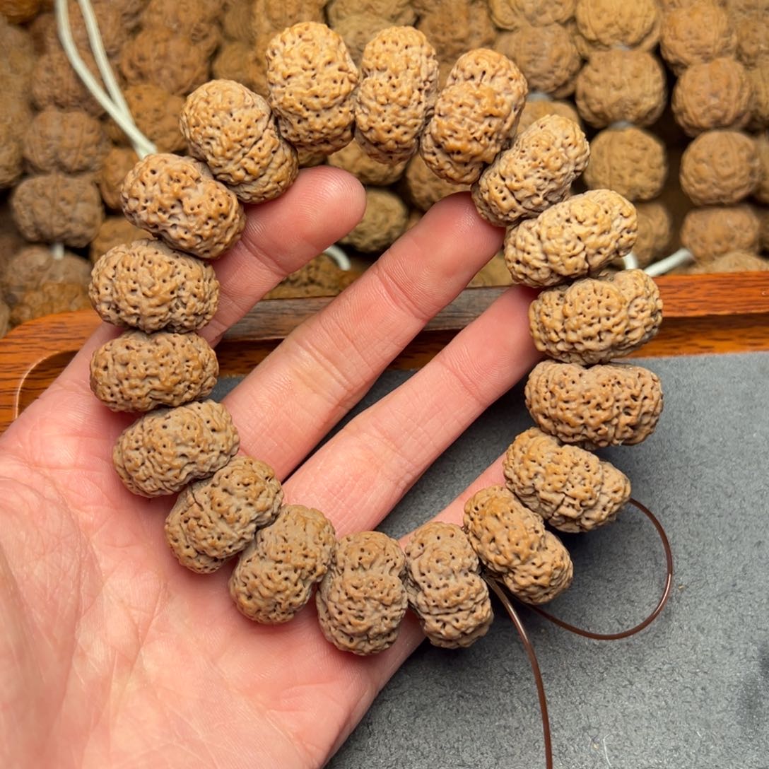 菩提22号尼泊尔大金刚五星22夹板菠萝蜜