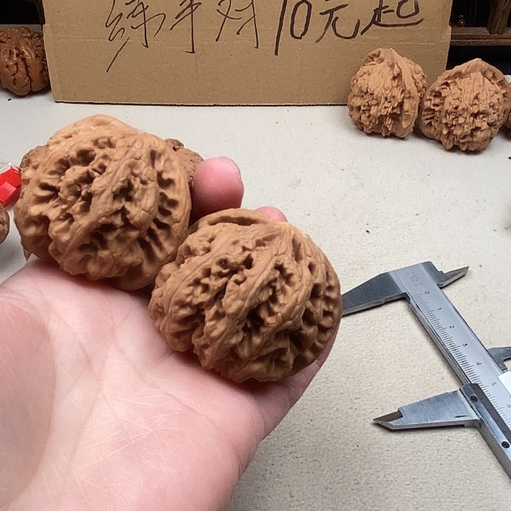 秋***6吊坠龙脊菩提60.60.60.60306