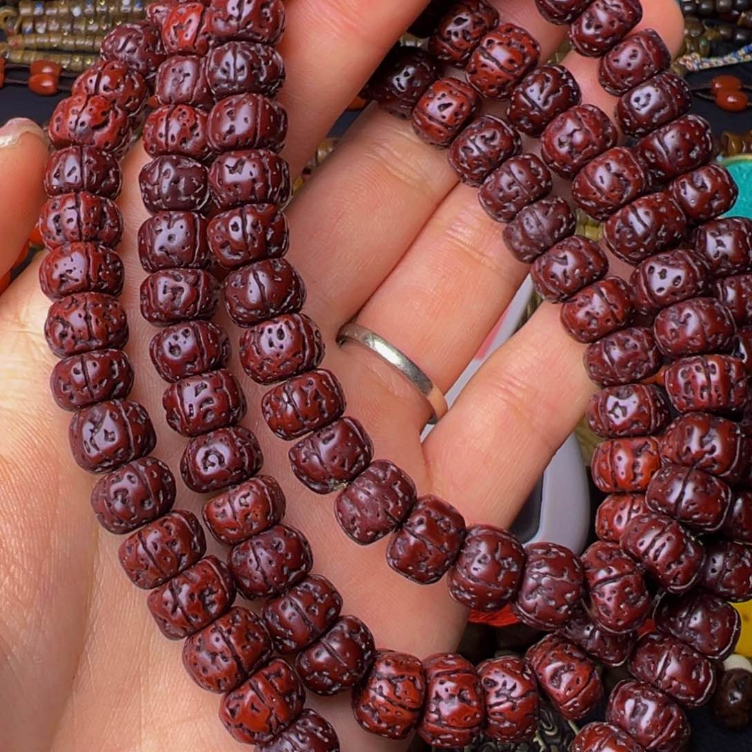 大果紫檀（缅甸花梨）林*，