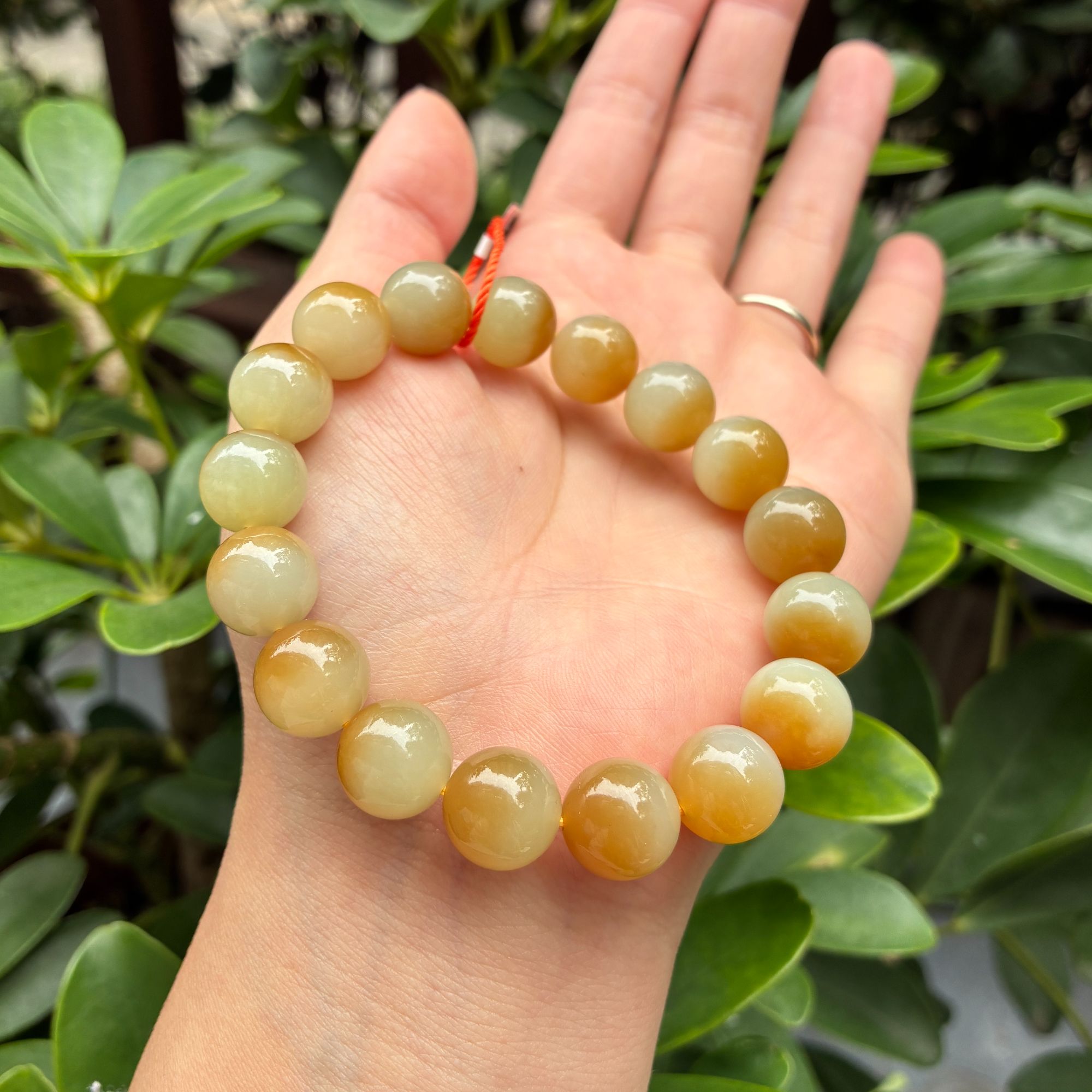 天然玉石新疆和田玉且末手串糖半糖串卡12mm多样性发其一