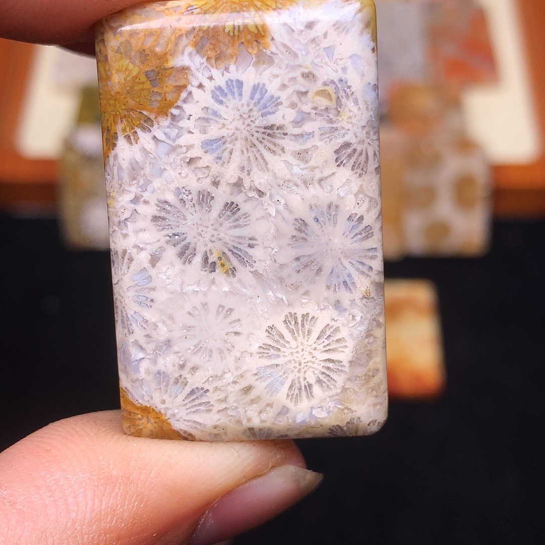 c***兔硅化玉合金珠宝奇石