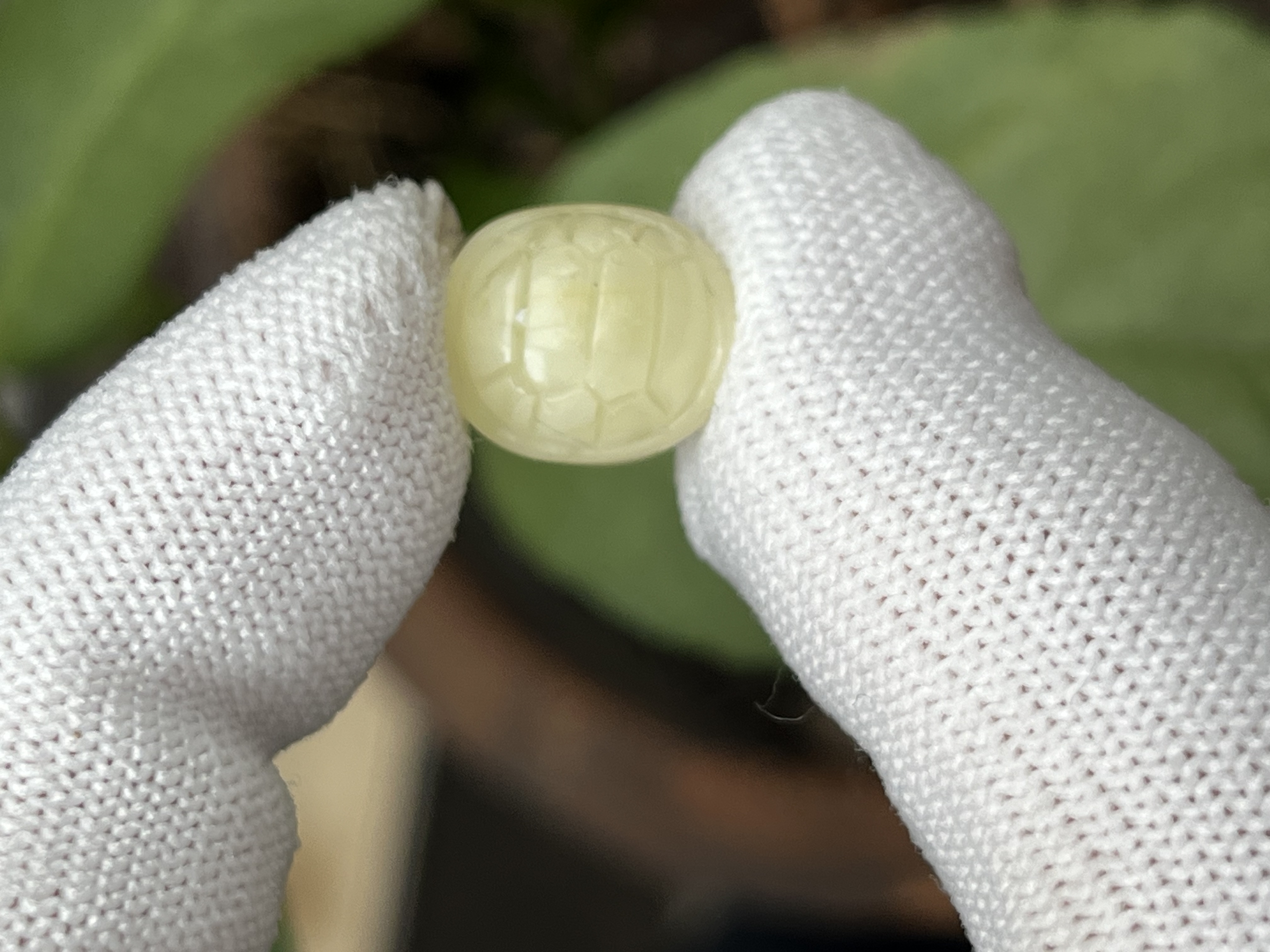 4539天然蜜蜡琥珀富甲配饰11.8x13.2x8.4mm