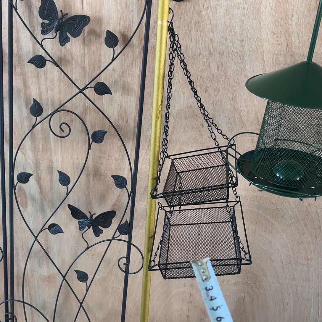 孤品炸炸炸炸炸炸