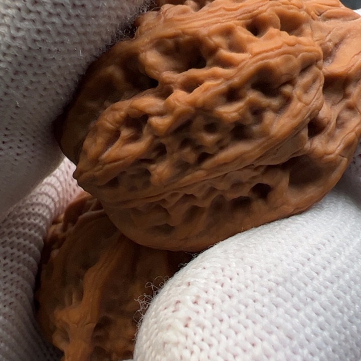 文玩核桃把件野生金龟子173