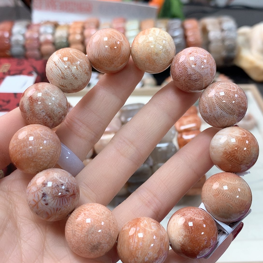 硅化珊瑚（珊瑚玉）手链未镶嵌柠**•357