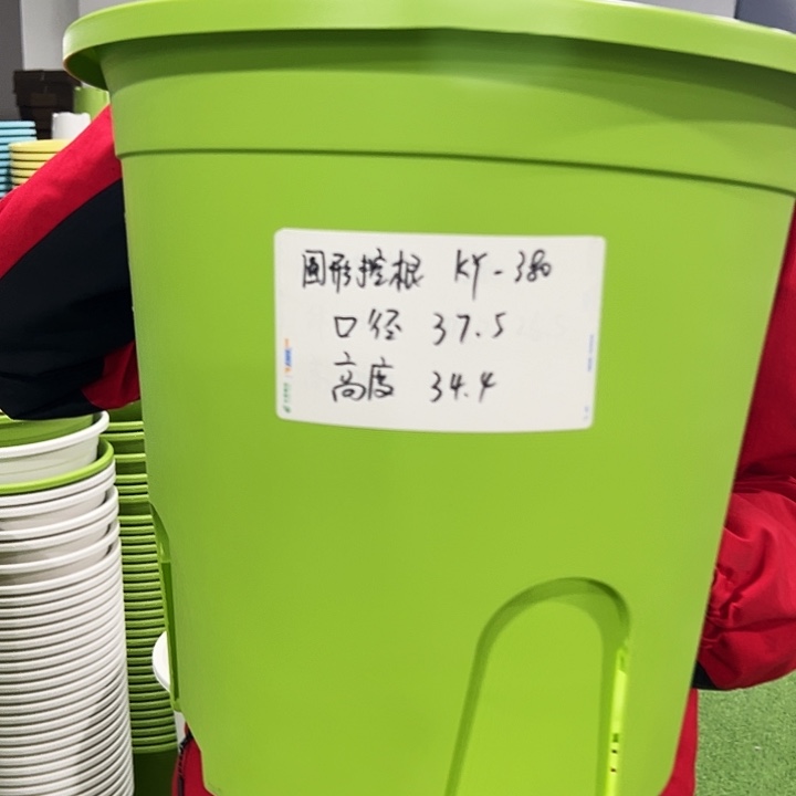 正品圆控口37高37果绿色5只无托