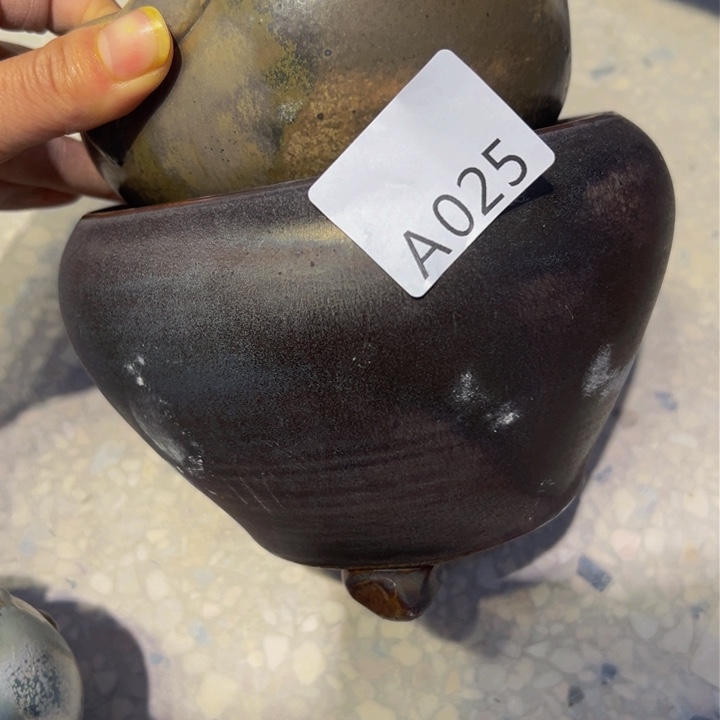 景德镇陶瓷研究所言***谢