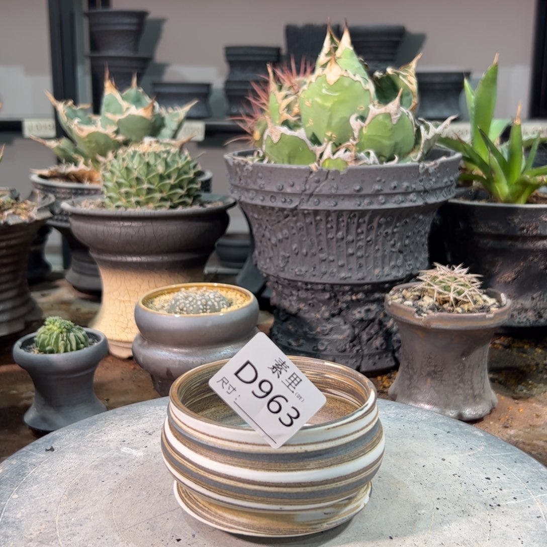 景德镇手工素里内面9高5.5