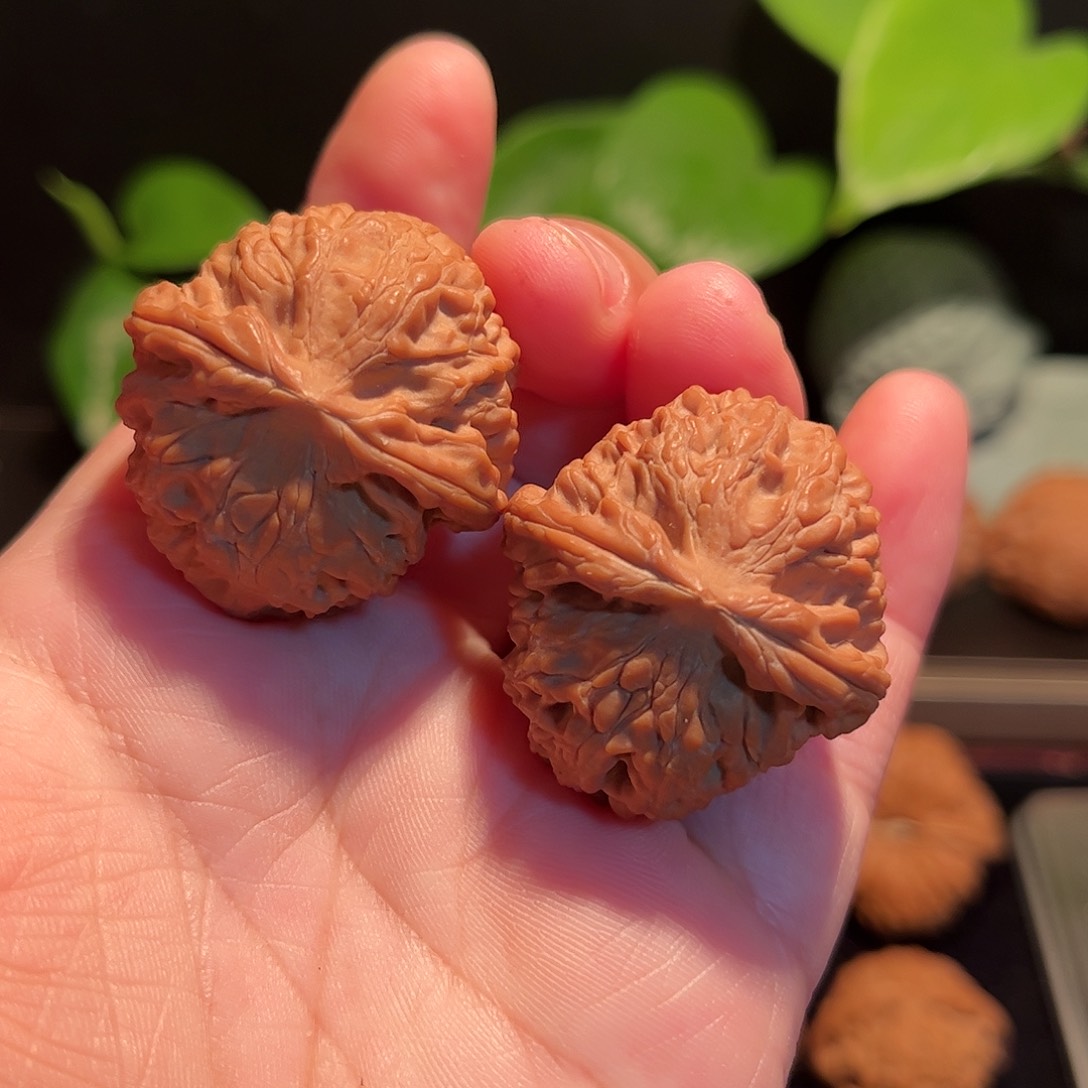 【闪购商品】文玩核桃把件野生龙珠全品